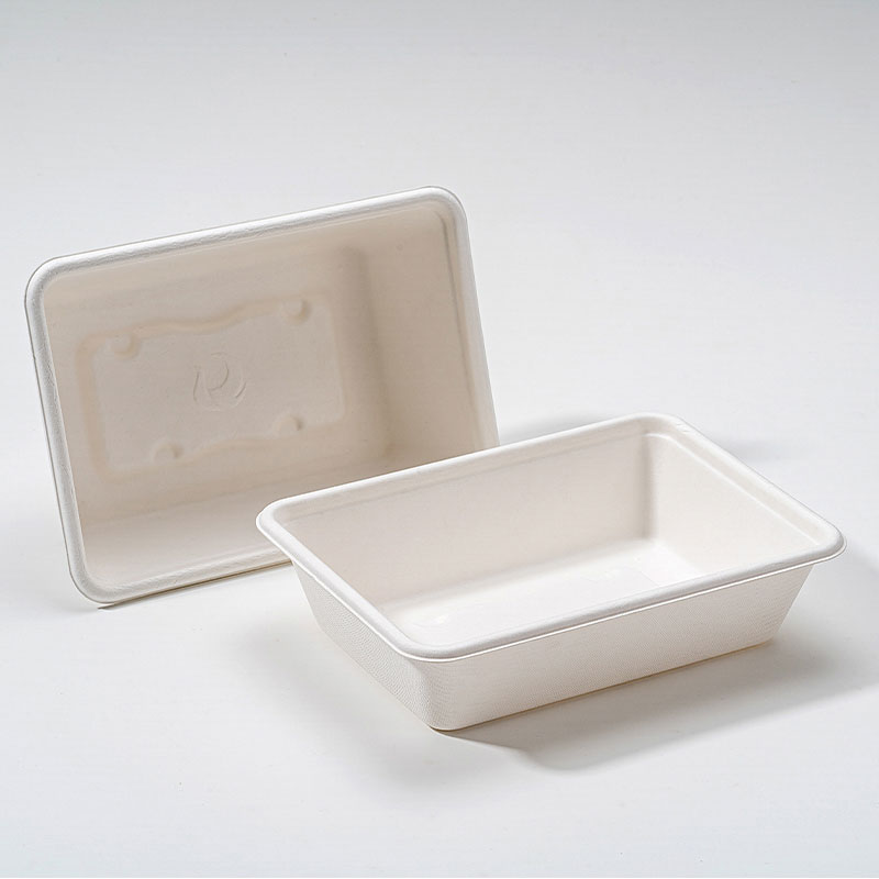 किन Bagasse स्क्वायर बक्स दिगो खाद्य प्याकेजिङ को भविष्य हो?
